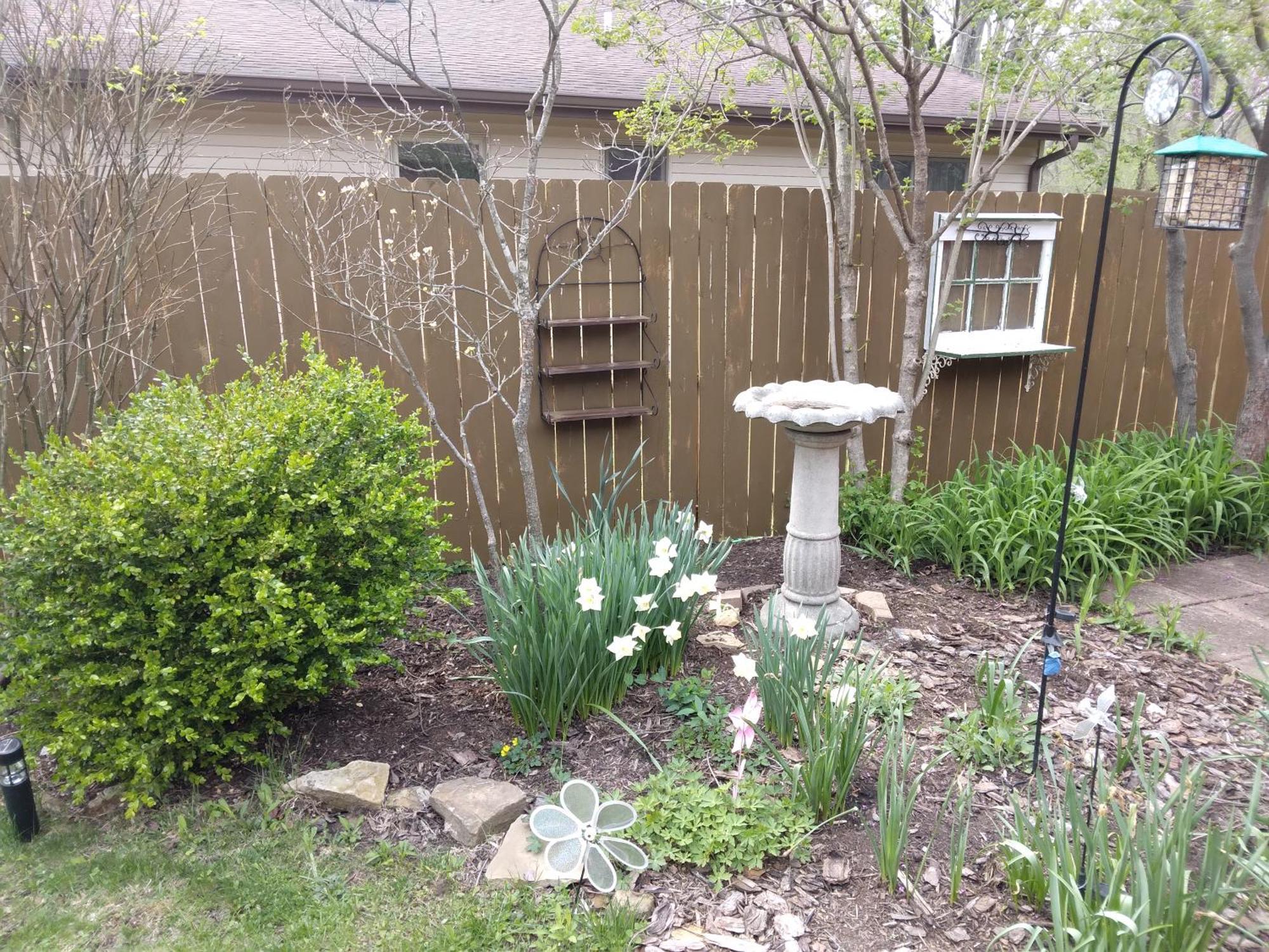 Betty Lous Garden Bed & Breakfast Nashville Eksteriør bilde